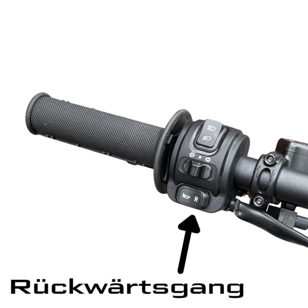 E RIDE PRO SS L1E 3.0 Straßenversion – Bild 6