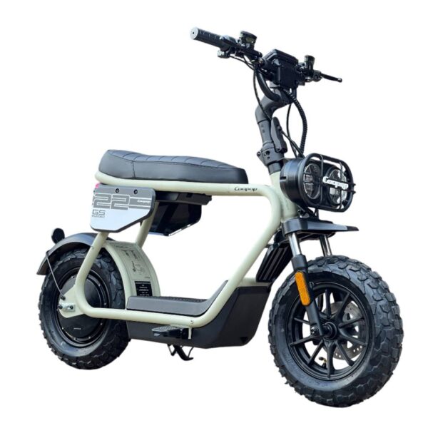 Coopop Rugged GS (L1E 45km/h) – Bild 2